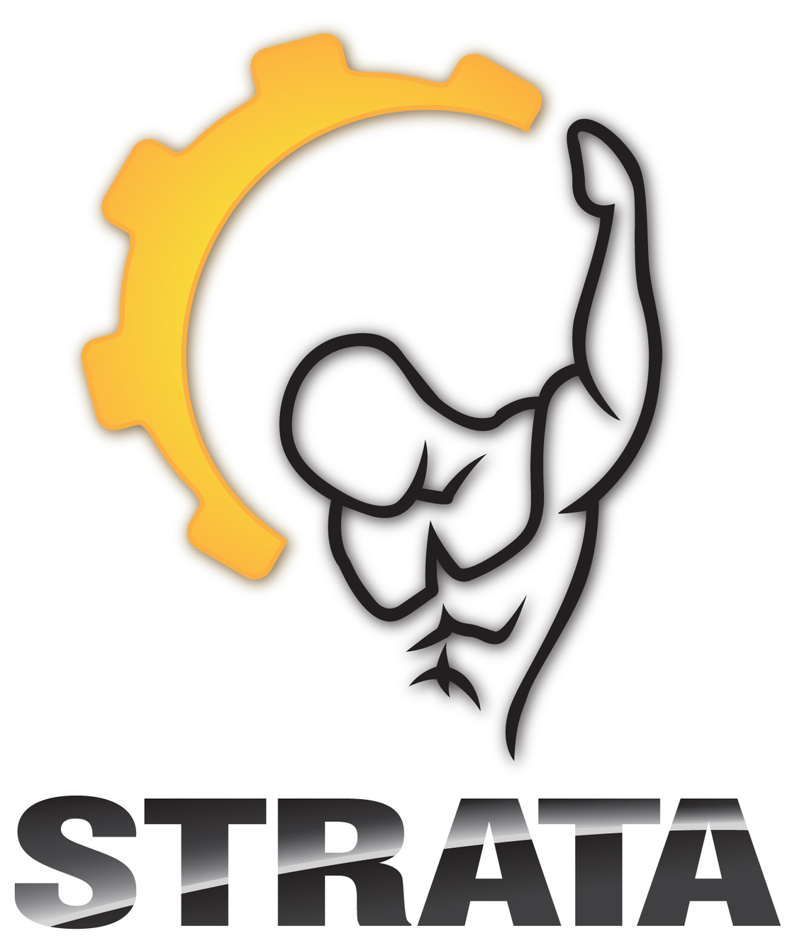 Strata Internal Performance - Muscle System Care & Personal Training logo