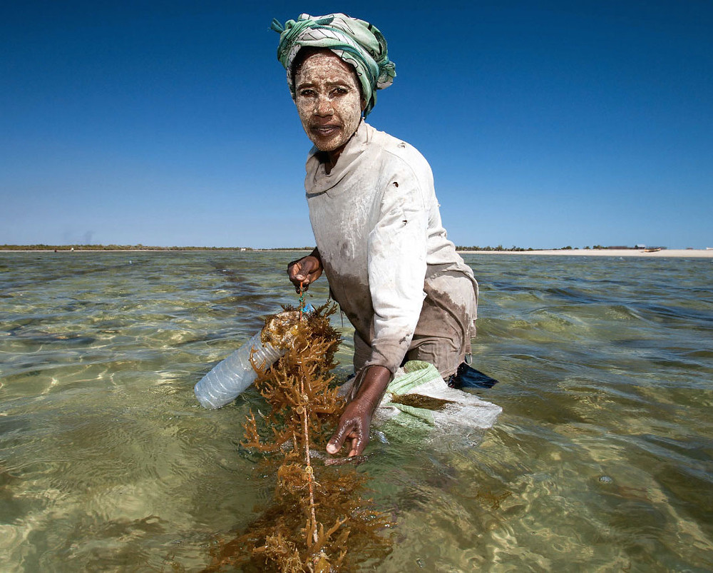 (c) Blue Ventures <www.blueventures.org>
