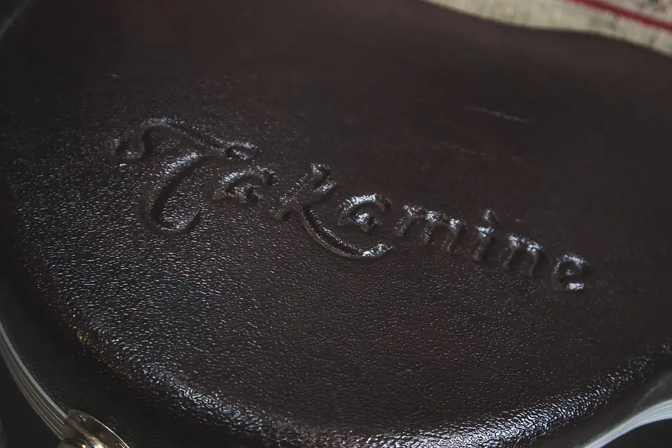 Thumbnail: Takamine EAN10C Acoustic-Electric Guitar (2002) inside its branded case.