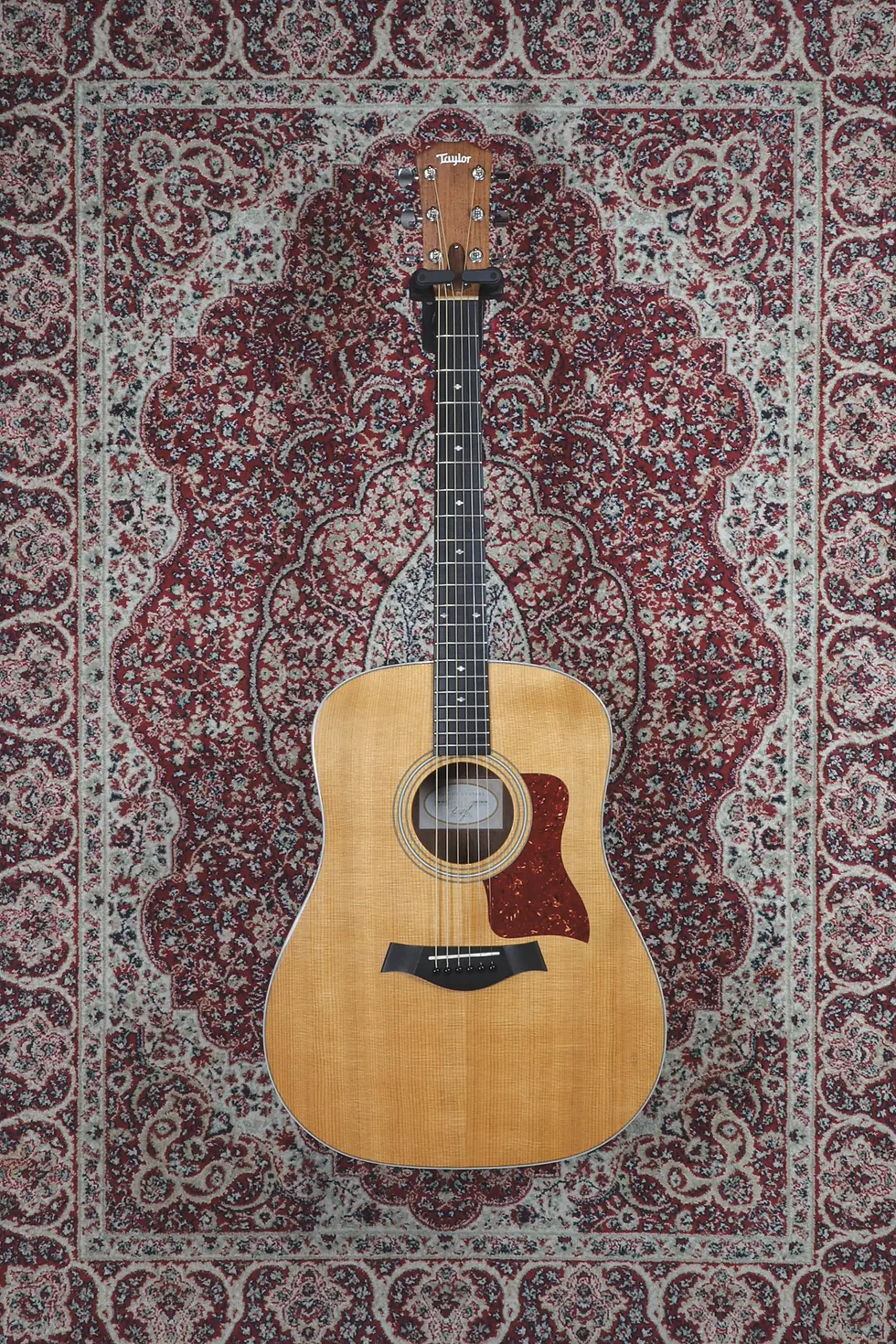 Taylor 210e DLX Natural full front view
