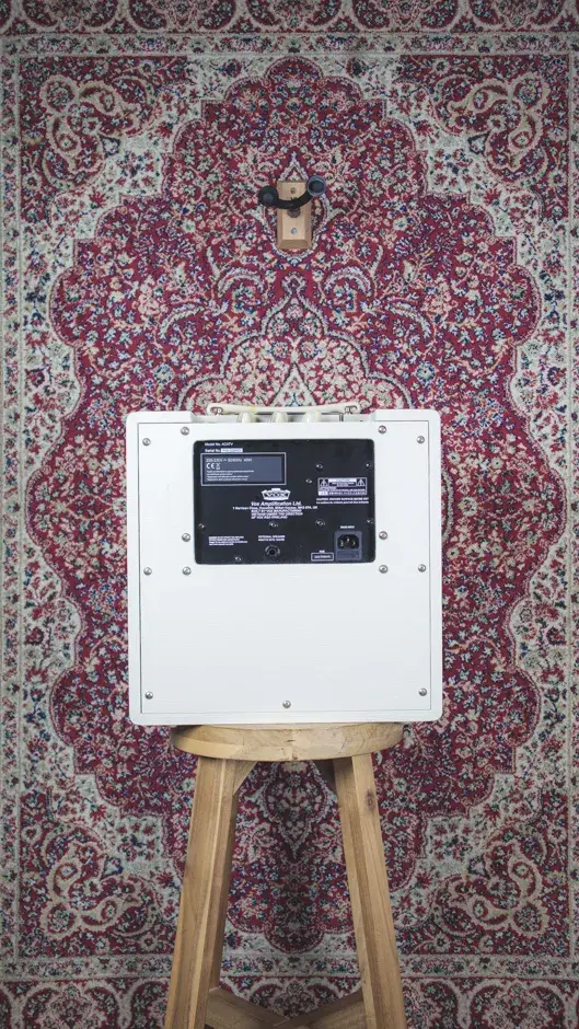 Back view of the Vox AC4TV, showing the open-back design and the built-in speaker.