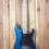 Thumbnail: Front view of a 2021 Squier Affinity Stratocaster in Lake Placid Blue, displayed on a timber wall hanger, showcasing its slee