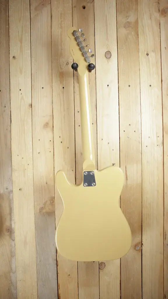 Back view of the Shaftesbury T-Style Hollowbody showing its finish