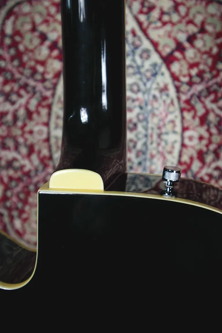 Thumbnail: Neck joint of Gretsch G5125 showing back of body and neck