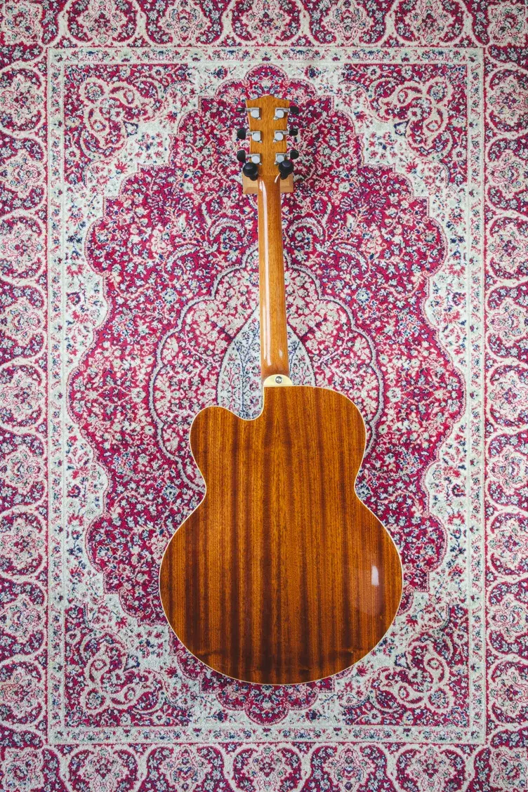 Rear view of the Tanglewood TSB49 hollow body guitar showing the mahogany finish
