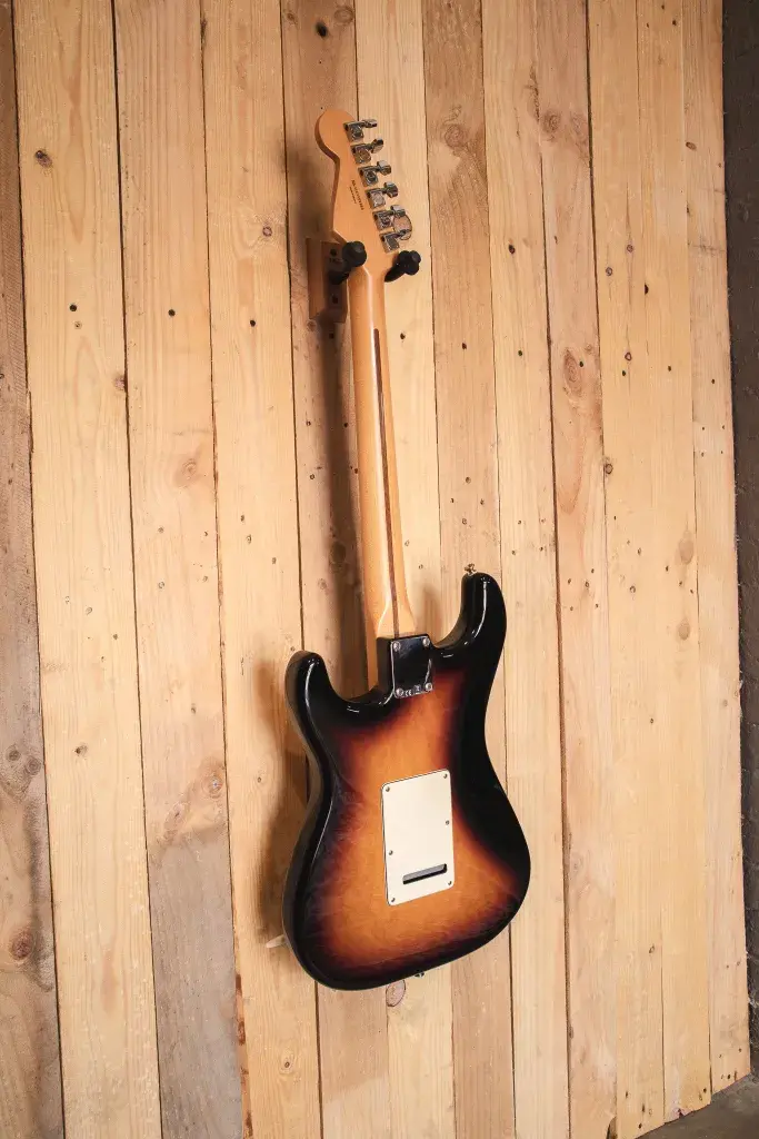 2009 Fender Standard Stratocaster - Back View