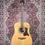 Thumbnail: Tanglewood TW115ST acoustic guitar full front view on patterned rug