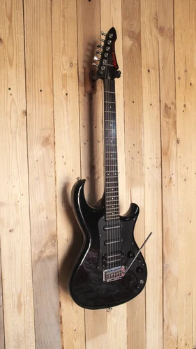 Aria Pro II RS WILDCAT (日本製) $_57.JPG?set_id=880000500F
