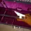 Thumbnail: 1976 Gibson Explorer resting in its original hard case with purple interior.