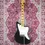 Thumbnail: Full front view of 2018 G&L Doheny Tribute electric guitar in gloss black finish with maple neck and block inlays