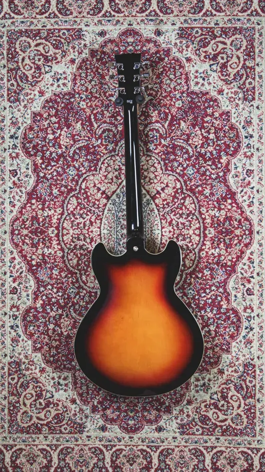 Harley Benton HB-35 Plus Vintage Burst semi-hollow guitar back view on The Woodshed carpet backdrop