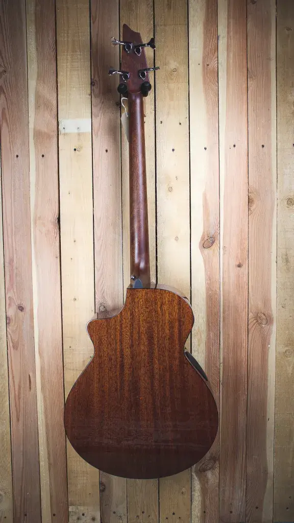 Breedlove Solo Acoustic Bass - Back View