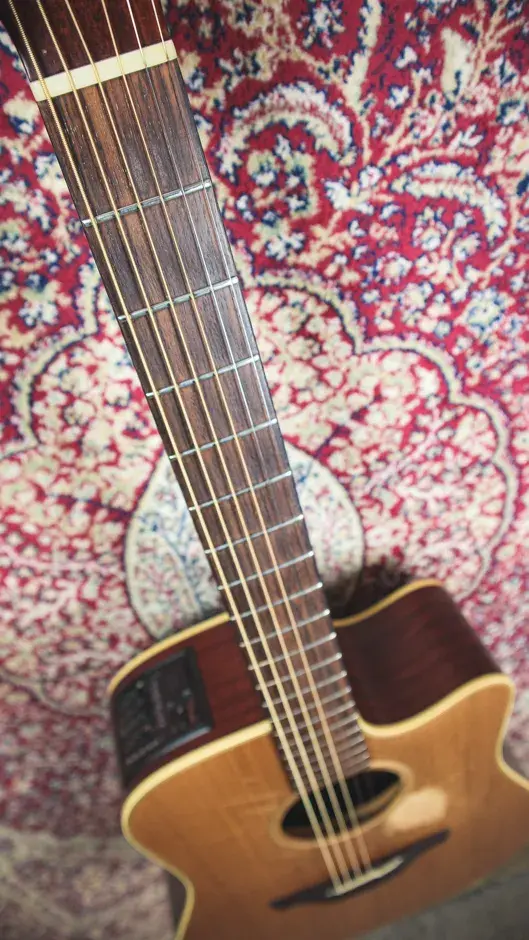 Thumbnail: Fretboard and inlays of the Takamine EAN10C Acoustic-Electric Guitar (2002).