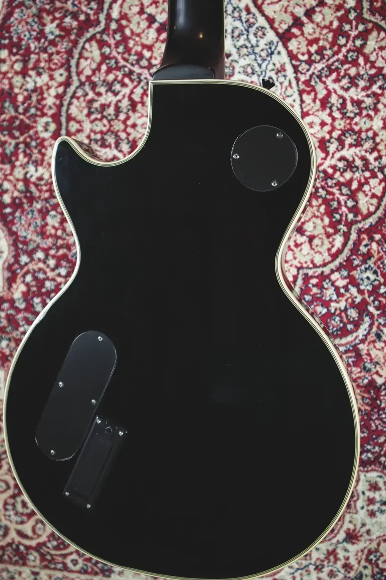 Thumbnail: Epiphone Prophecy EX rear body control cavity