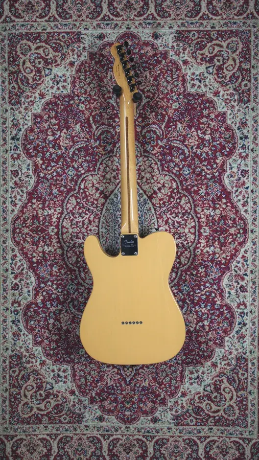 Rear view of the 2010 Fender Baja Telecaster, highlighting the back contours and neck joint.