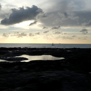 _DSF4433.jpg