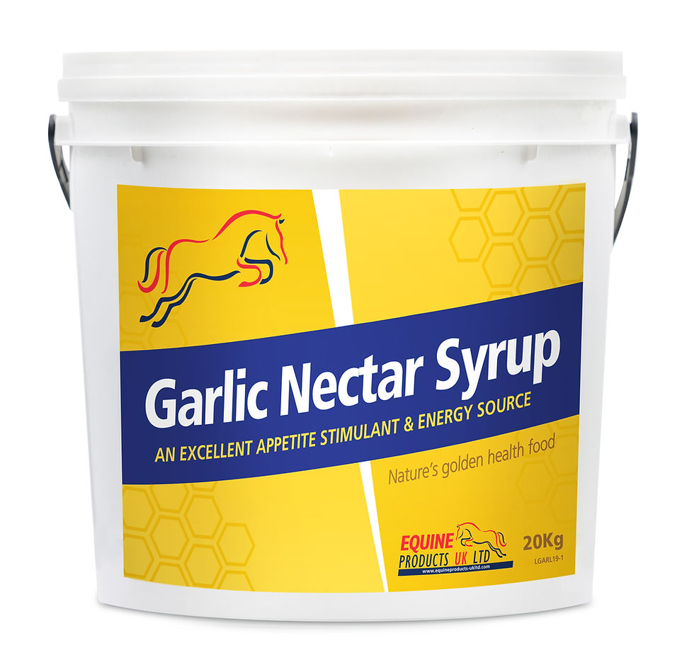 Miniatyrbilde: Garlic Nectar (Hvitløksnektar sirup)