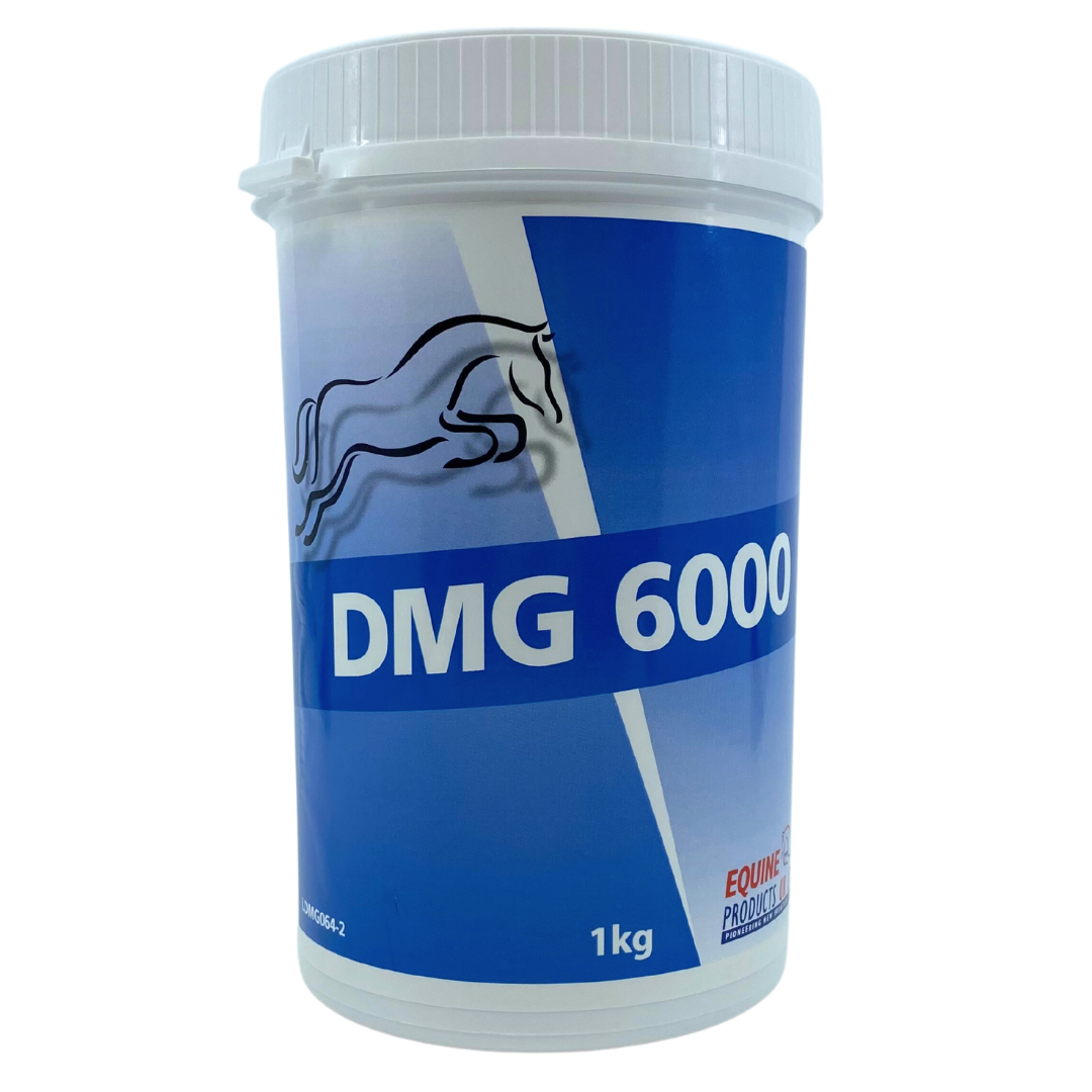 DMG 6000 - Dimetylglycin