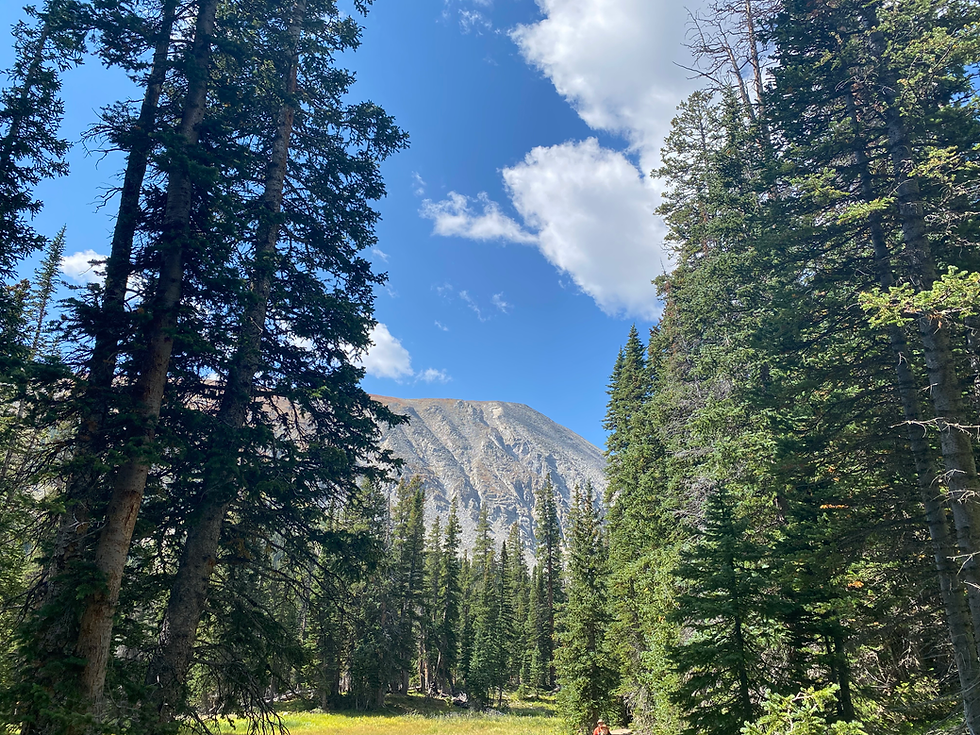 From Red Rocks to Boulder: Two Days in Colorado’s Front Range