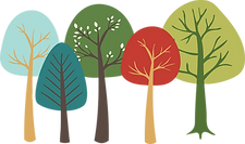 forest-clipart-forest-clipart-plant-leaf-cabbage-vegetable-transparent-png-868413.png