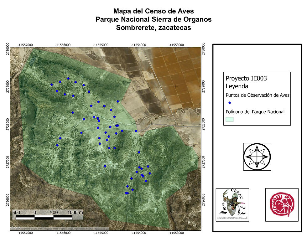 Aves Sierra de Organos
