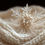 Thumbnail: Cashmere Snowfall* (U)