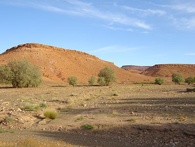 DSC00465.JPG