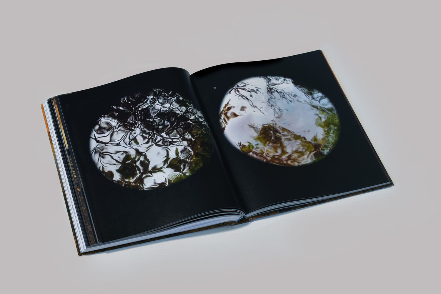 Space Between Worlds