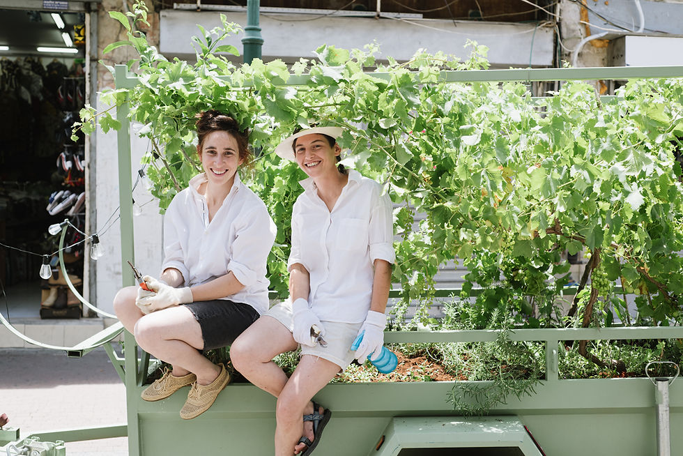 Public performance by Israeli artist in shared civic space, inspiring dialogue and cultural exchange