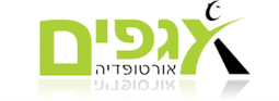 אגפים.png