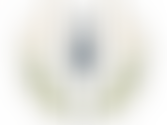 Beyond the Gut: Why Your Mind Holds the Key to Lasting Weight Change