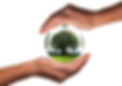 to-protect-450596_1920.jpg