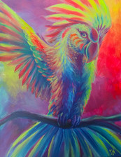 Kendra Macaw