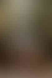 Moodboard Thème Automnal : Demoiselle