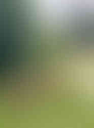 Moodboard Mobilier - Osier