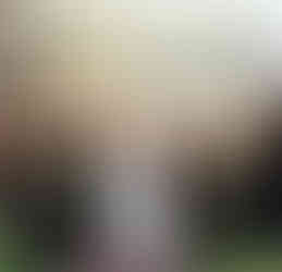 Moodboard Thème Noir : Demoiselles d'honneur noires