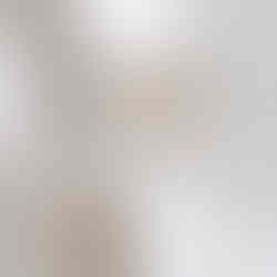 Moodboard Animations - Fleurs