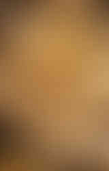 Moodboard Univers : Bijoux en or