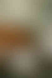 Moodboard Thème Automnal : cosy