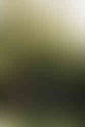 Moodboard Thème Noir : Bar à cocktails