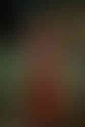 Moodboard Thème Automnal : Demoiselle d'honneur robe velours