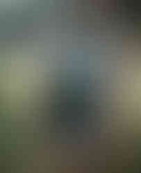 Moodboard Mobilier : mirroir