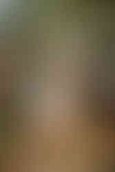 Moodboard Thème Automnal : jeté de feuilles mortes