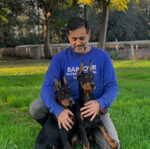 DOBERMANN CRIADERO CHILE