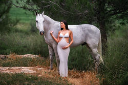 צילומי הריון עם סוס