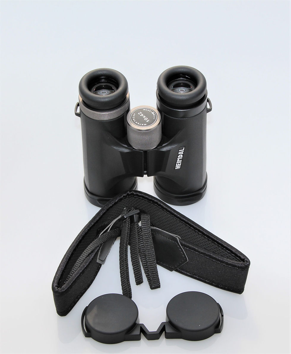 Sīktēls: MJOELNER HEIMDAL XO 8x42 42mm BINOKLIS