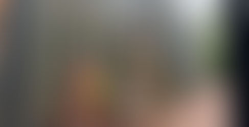 Jonesville History Walk Mural