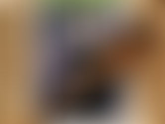 Tant Mieux d'Amélie Nothomb avec un objt fétiche de l'histoire : une cuillère en bois.