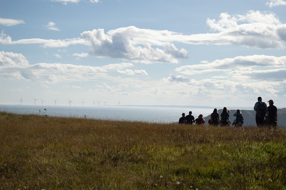tourists standing on a grasshill observing an off-shore wind farm