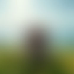 A bee hotel in Switzerland